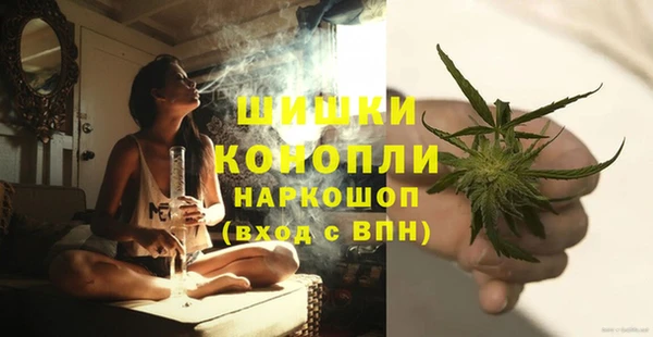 шишки Губаха