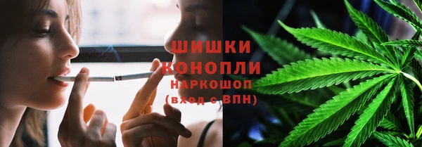 шишки Баксан