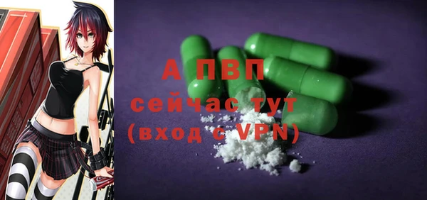 PSILOCYBIN Грязовец