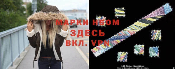 шишки Баксан