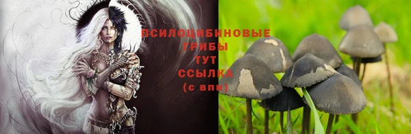 шишки Баксан
