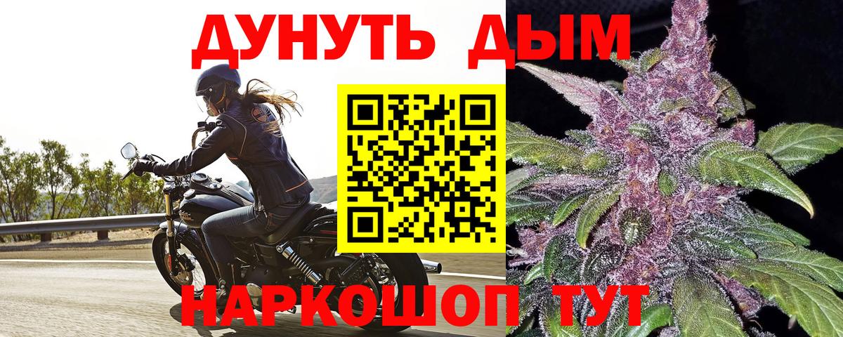Канабис тримм  Бошки марихуана сатива  Вход с VPN  Марихуана гибрид  Соль-Илецк 